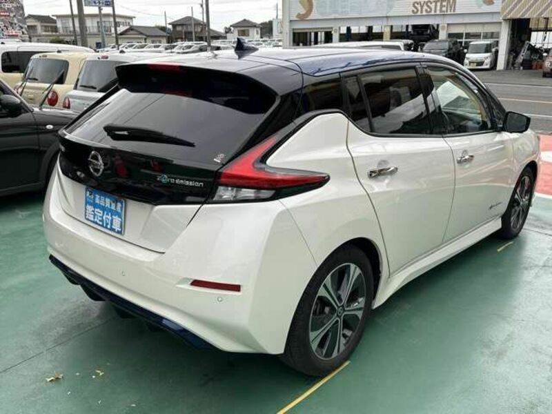 LEAF-10