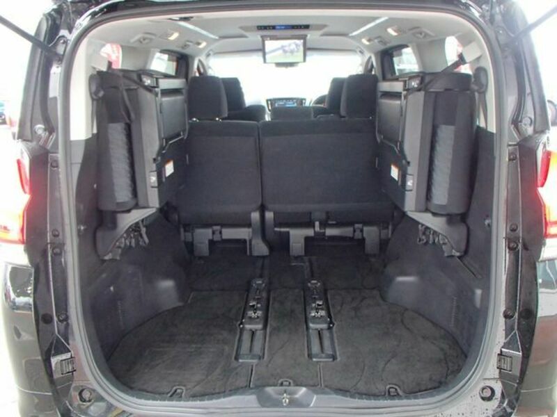 ALPHARD-12