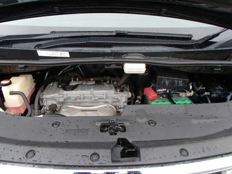 ALPHARD-19