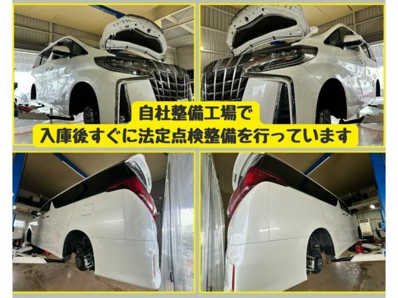ALPHARD-4