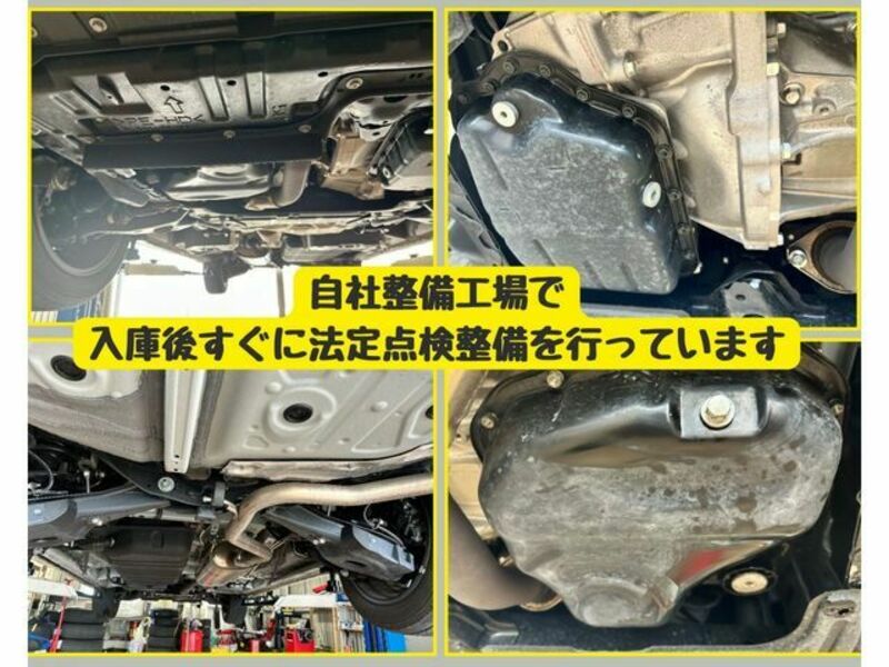 ALPHARD-6