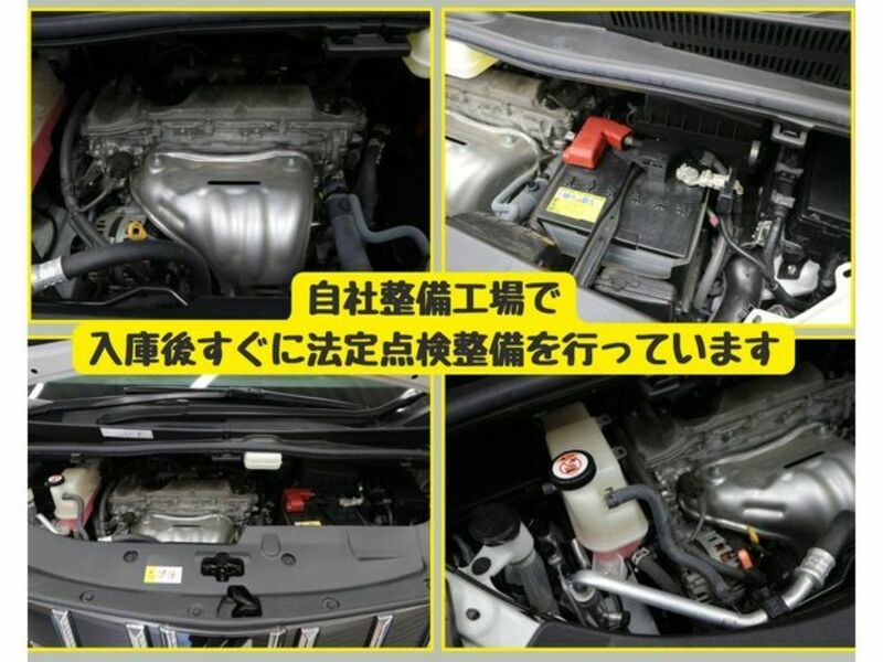 ALPHARD-7