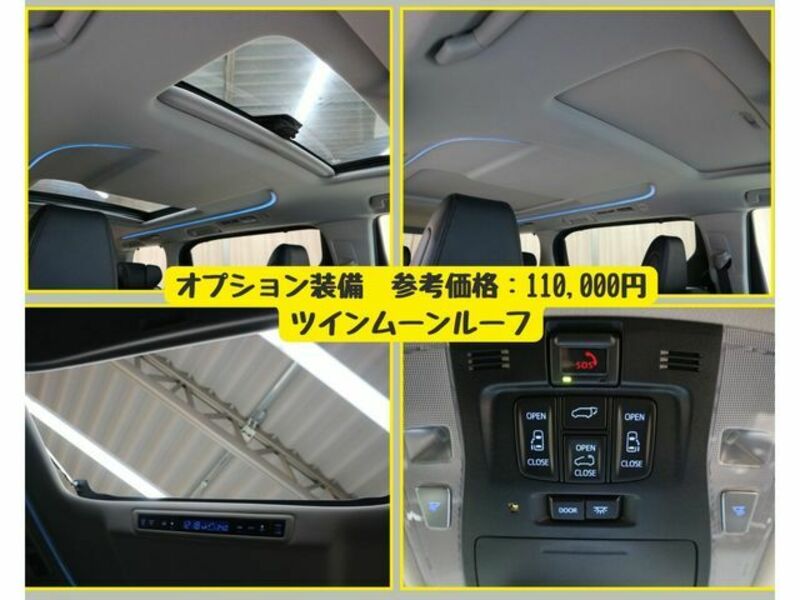 ALPHARD-12