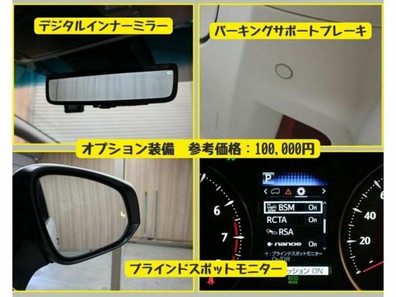 ALPHARD-13