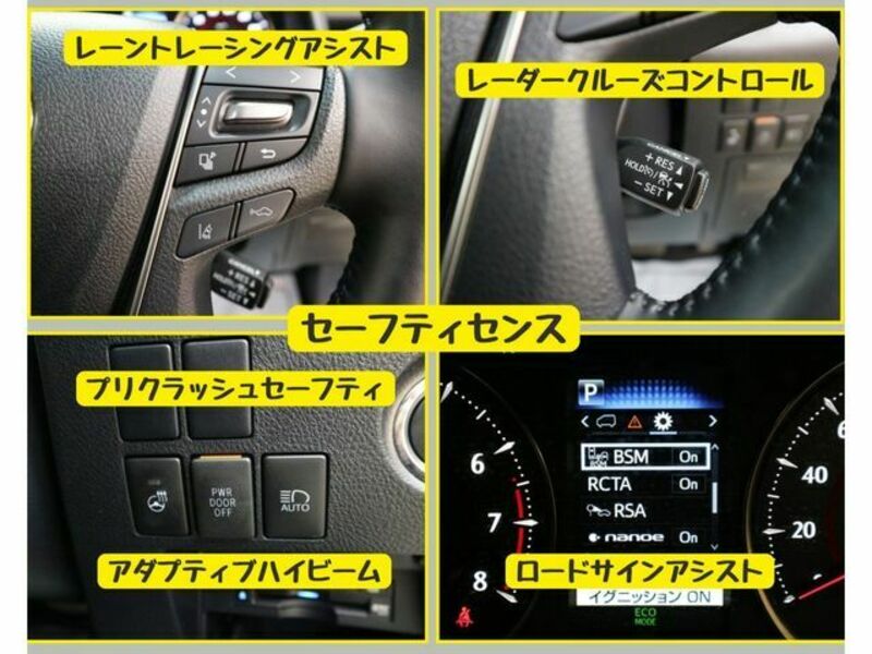 ALPHARD-15