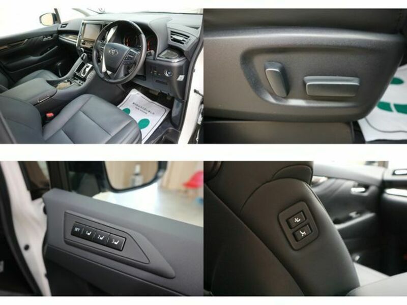 ALPHARD-17