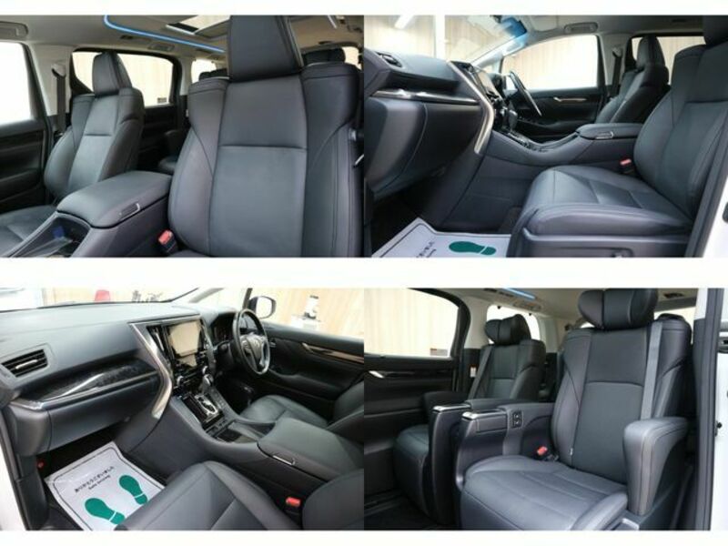 ALPHARD-19