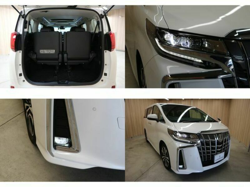 ALPHARD-21