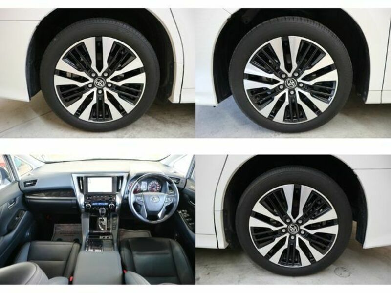 ALPHARD-24