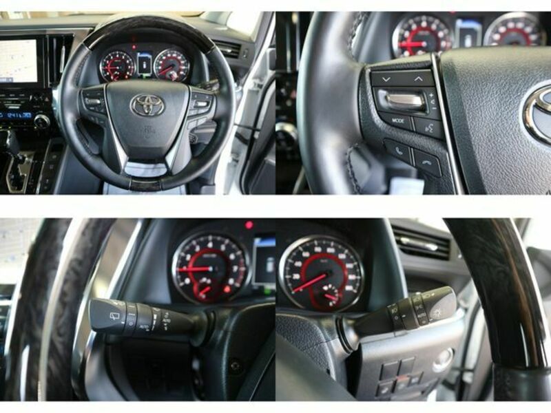 ALPHARD-25