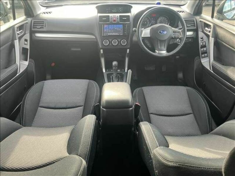 FORESTER-1