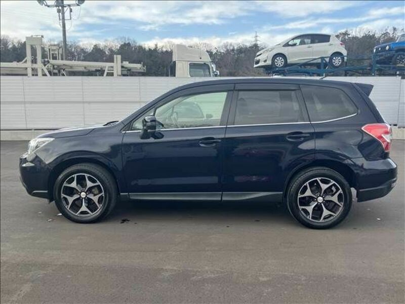FORESTER-7