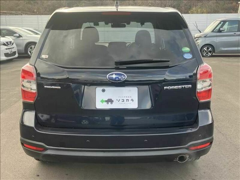 FORESTER-9