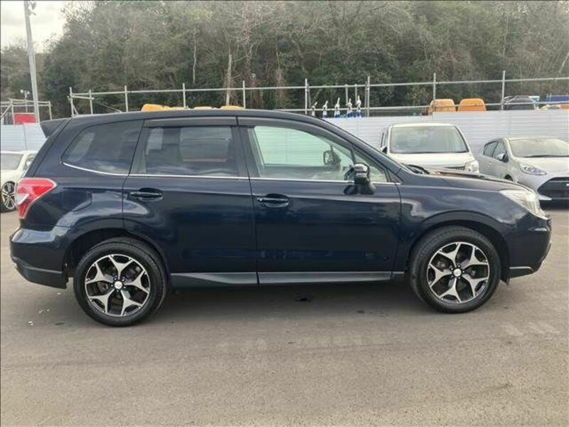 FORESTER-11