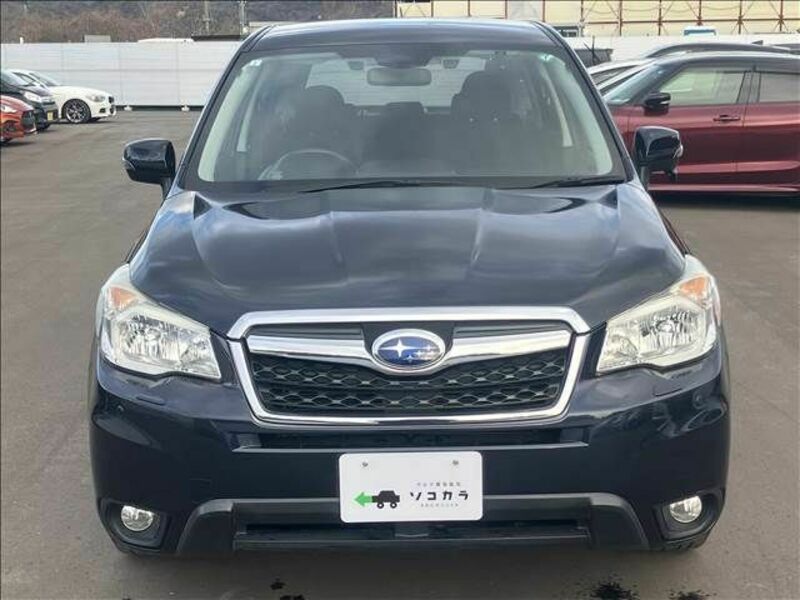 FORESTER-13