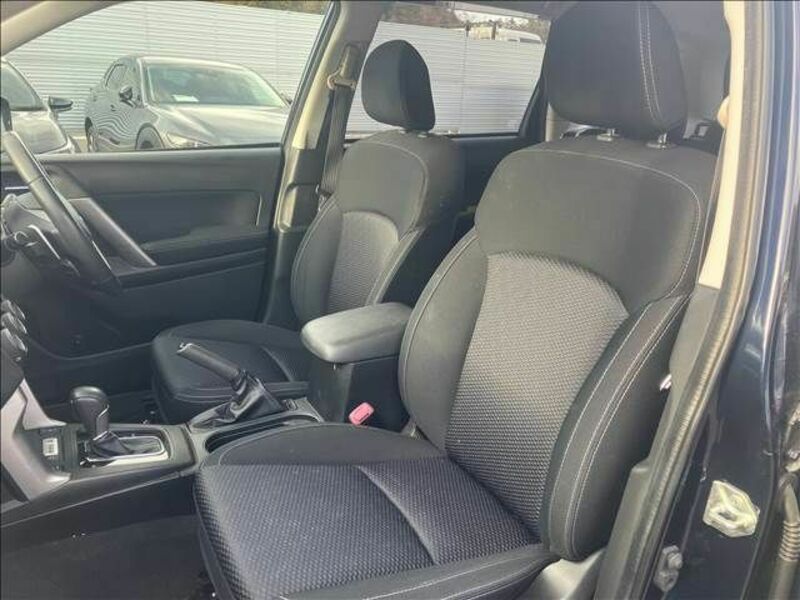 FORESTER-15
