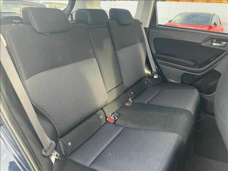 FORESTER-16