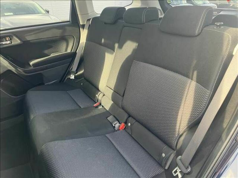FORESTER-17