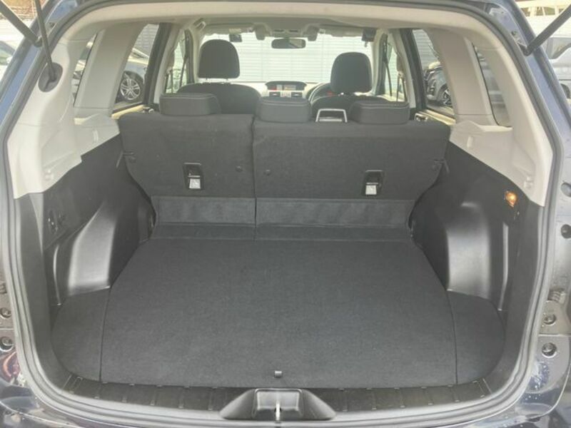 FORESTER-19