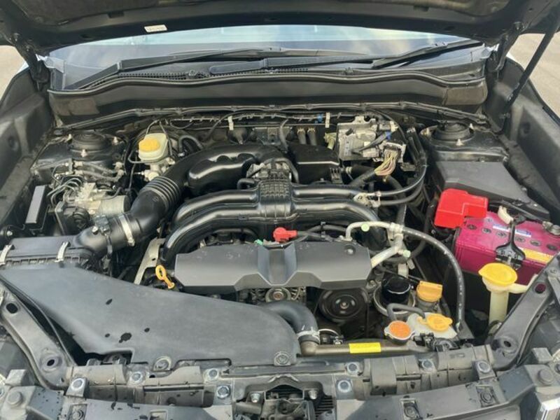 FORESTER-22