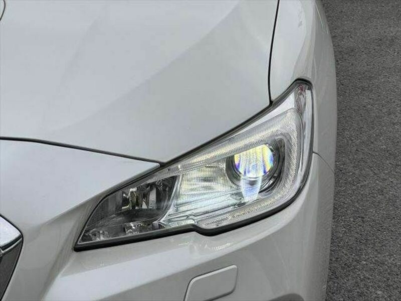 LEVORG-8