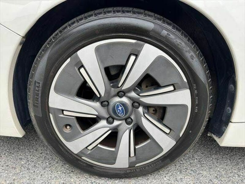 LEVORG-10