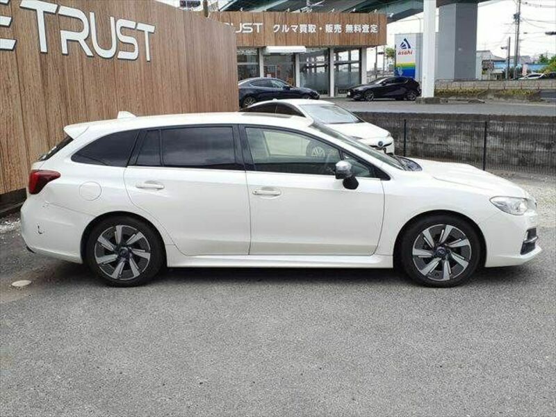 LEVORG-13