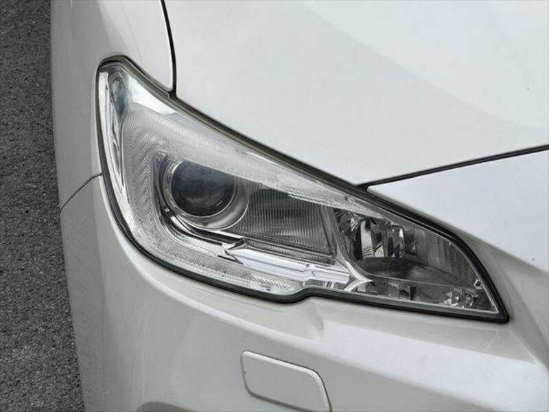 LEVORG-19