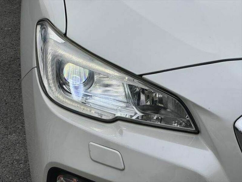LEVORG-27