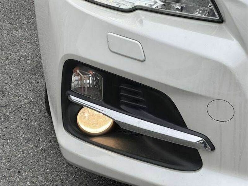 LEVORG-28