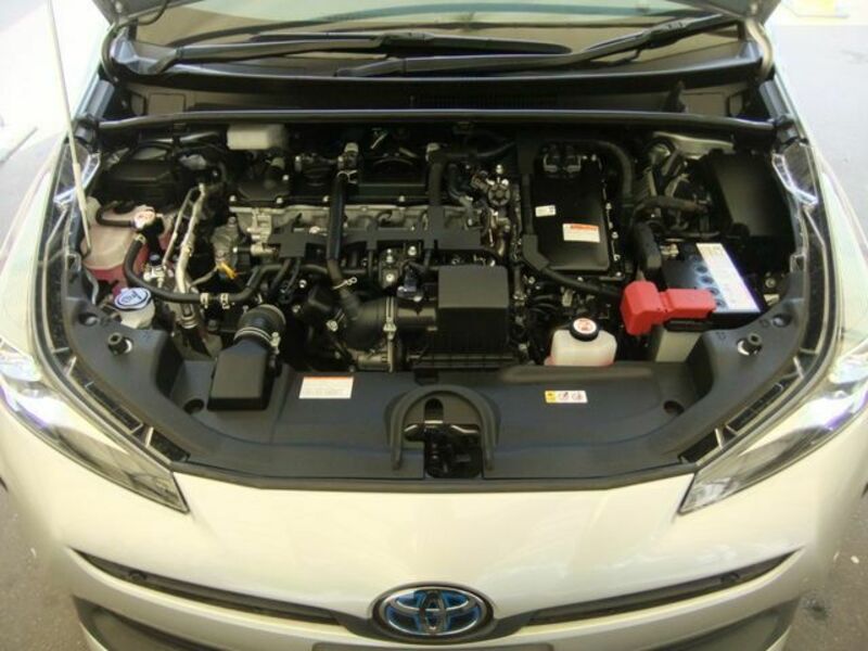 PRIUS-21