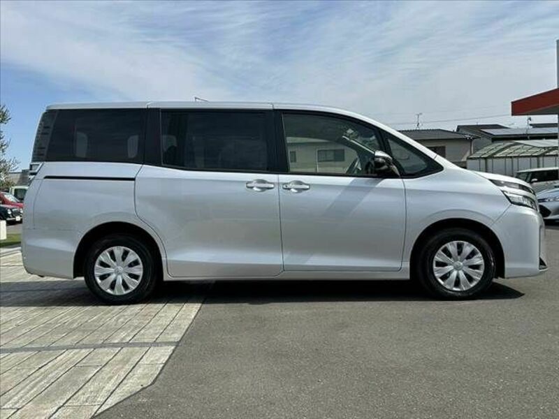 VOXY-11