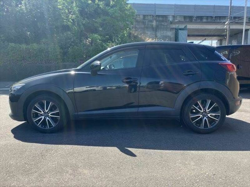 CX-3-19