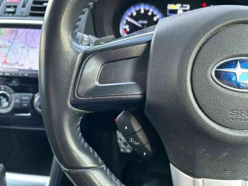 LEVORG-12