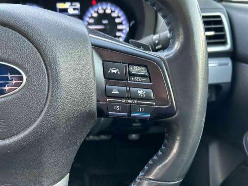 LEVORG-13
