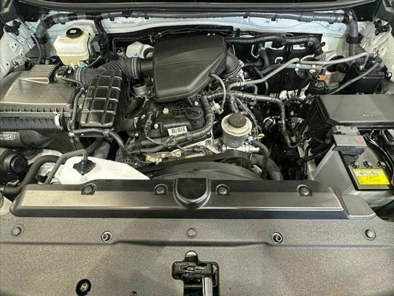 LAND CRUISER PRADO-19