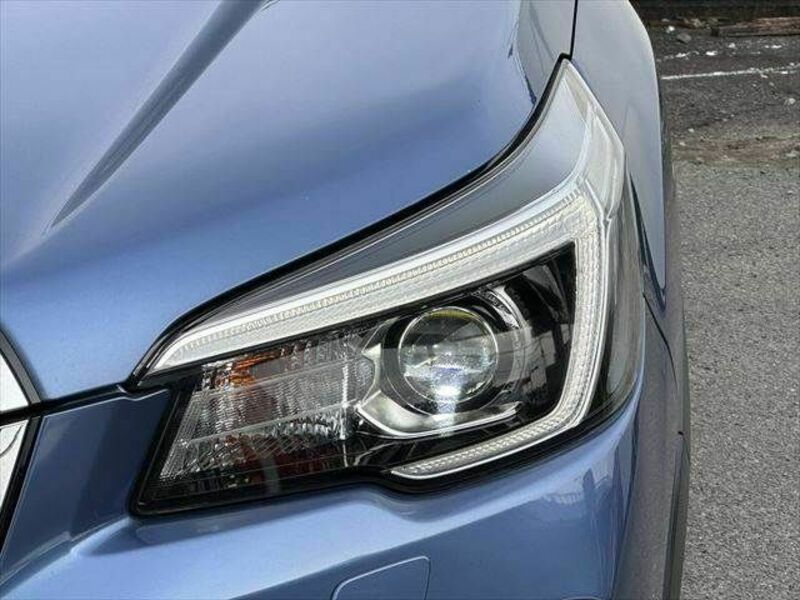 FORESTER-7