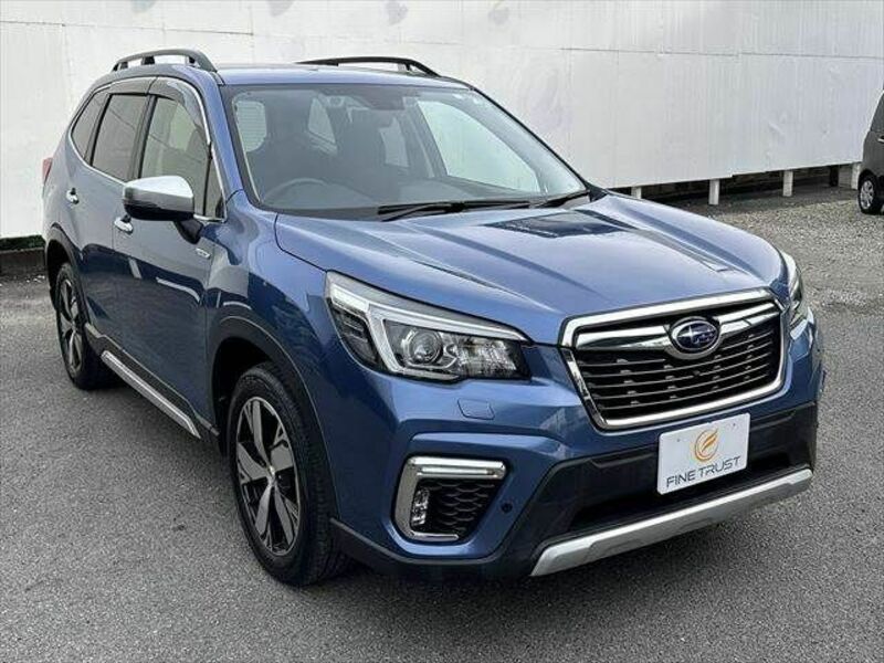 FORESTER-11