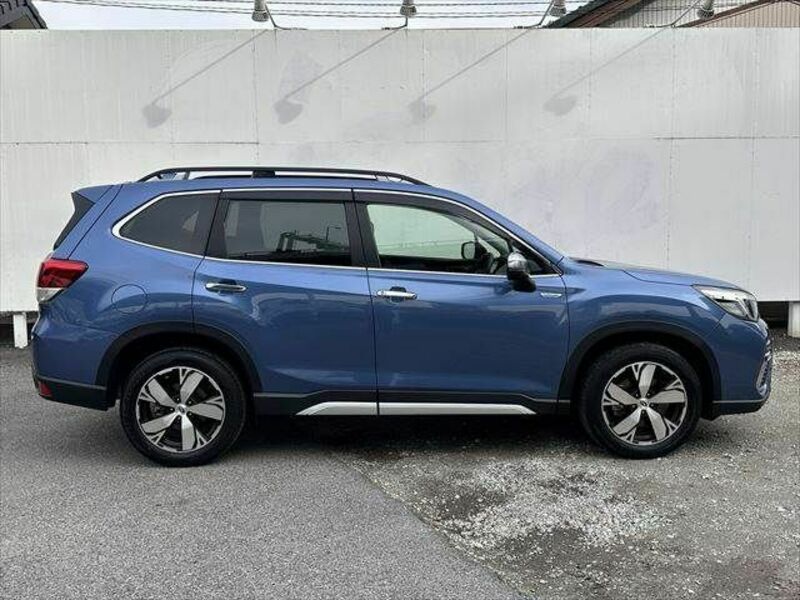 FORESTER-12