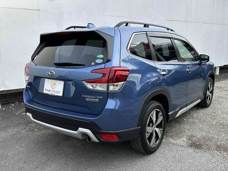 FORESTER-13
