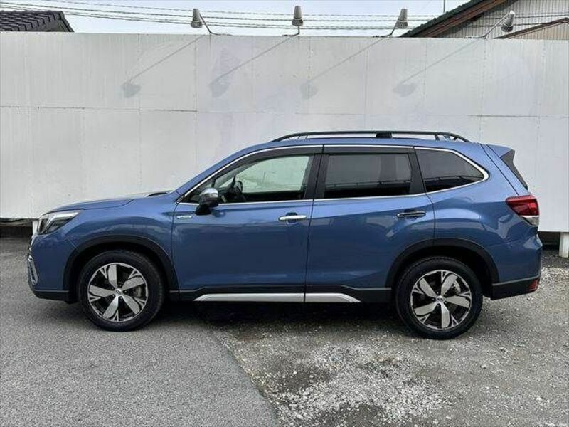 FORESTER-16