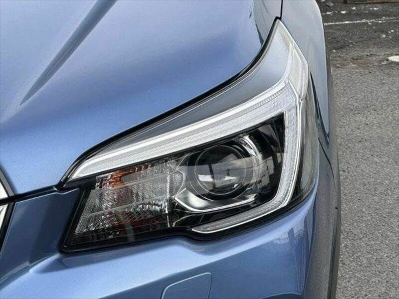 FORESTER-17