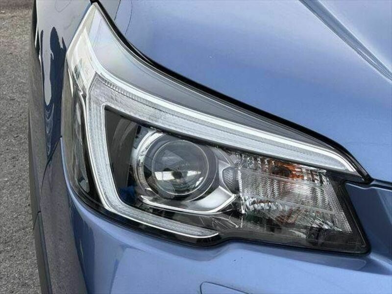 FORESTER-18