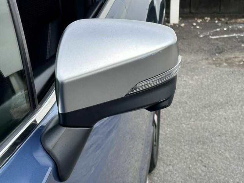 FORESTER-21