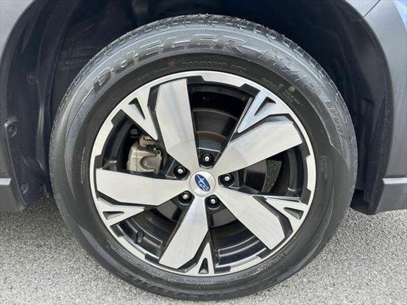 FORESTER-25