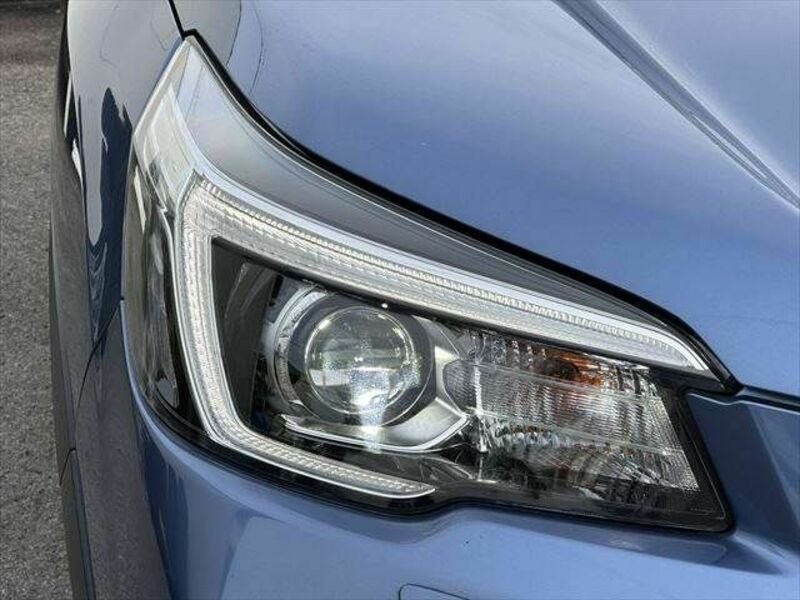 FORESTER-26