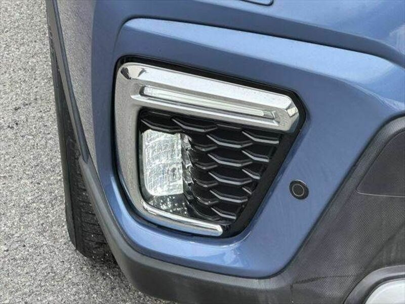FORESTER-27