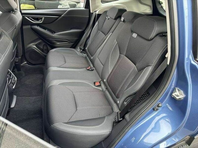 FORESTER-29