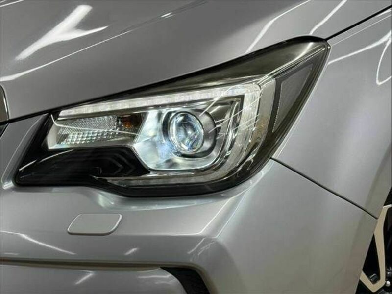 FORESTER-19