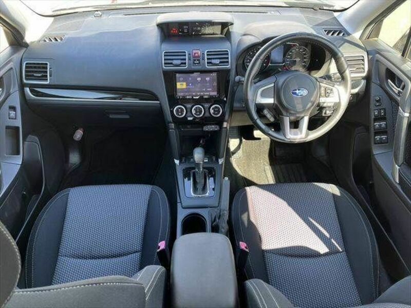 FORESTER-1